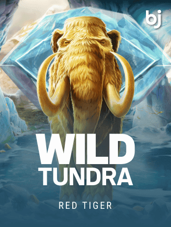 Wild Tundrapng game screenshot